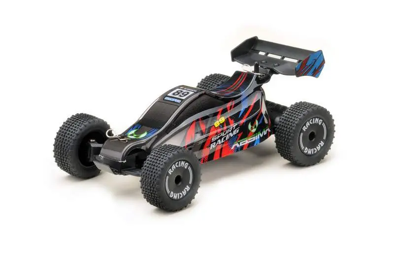 1:24 EP 2WD Racing Buggy RTR with ESP – RC Buggies