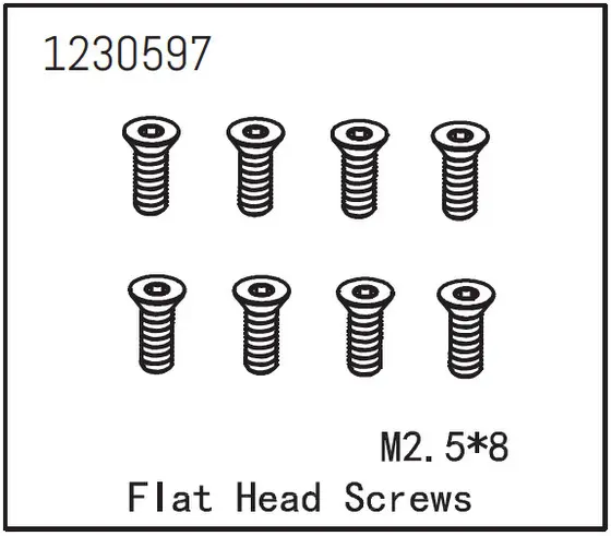 Flat Head Screw m2.5*8 (8)