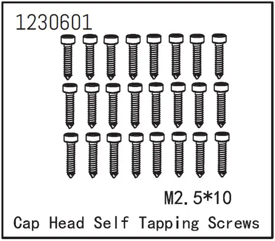 Self-Tapping Cap Screw m2.5*12 (24)