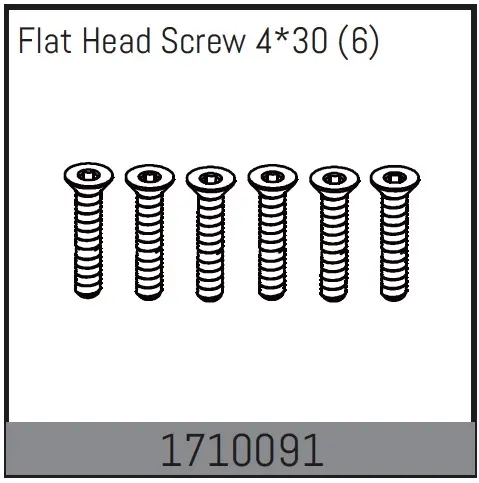 Flat Head Screw 4*30 (6)